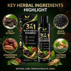 3 In 1 Black Hair Dye Shampoo (BUY 1 GET 1 FREE)